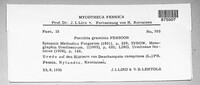 Puccinia graminis image